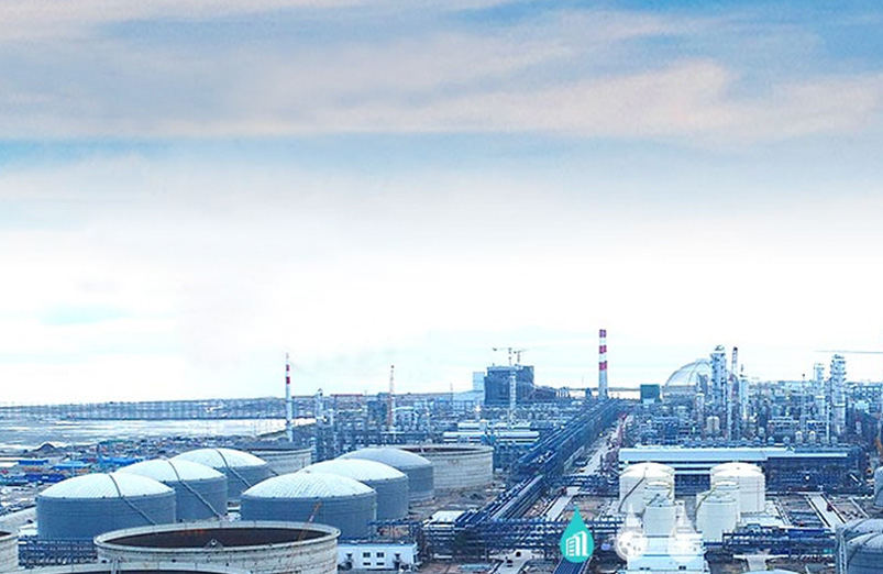 ZHEJIANG HENGYI PETROCHEMICALS